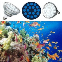 빔프로젝터렌탈 특수조명 업소용수족관 Par38 Bulbs 54W Nano Aquarium Lighting E27 LED Marine Lamp 450nm Blue Used Light