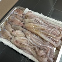 냉동 낙지 중사이즈 1kg