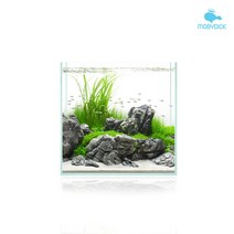 [모비딕] BOX_30큐브 유리어항(매트포함) 30x30x30 5T, 상세 설명 참조
