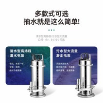 304 스테인레스스틸다이빙펌프 가정용 고양정 220v 양수펌프 내식성 공업용 농업용 관개 오수펌프, 09. 청수펌프