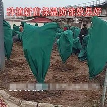 172320 나무월동준비 보온재 수목 동결 동사 부직포 붕대 식물 방한 커버 과수 랩 나무 보호 정원 그린 벨트 감김, 폭 3미터 높이 3미터