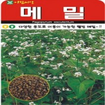 AR 메밀 30g 메밀 씨앗