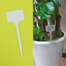 꽃이름 표시 싸인 꽃집 화분 화병 총무 사무실명패