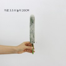 인테리어 선인장모형 인조 선인장 25종, W타입