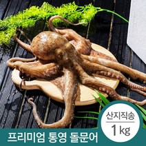 100% 자연산 당일조업 산지직송 통영 돌문어 1kg (1~3미)