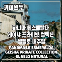 (커피원두) 208 파나마 에스메랄다 게이샤 프라이빗 컬렉션 엘벨로 내추럴 100g, 1. 분쇄하지 않음(원두)