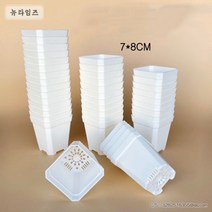사각 7cm 투명 흰색 검은색 플분 삽목분 플라스틱 포트 10 20 40, 흰 40
