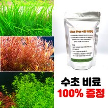 [수초몰] 수초3종 10촉 + 무무항바닥재 증정 / 구피 파워샌드 초보 수초 어항 물고기 금붕어 열대어 부상 물배추 베타, (발리스2촉+홍콩3촉+펄글라스5촉)+무무항바닥재