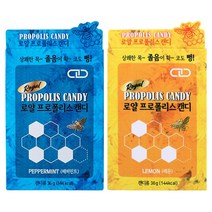 로얄 프로폴리스 목캔디 (페퍼민트맛+레몬맛) 골고루발송, 2ea+마술패치