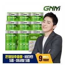 [GNM자연의품격] 징코빌로바 11 9박스 / 은행잎추출물 비타민B 아연 판토텐산, 상세 설명 참조, 상세 설명 참조
