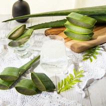 웰빙알로에 친환경유기농 알로에 베라 3kg, 1박스