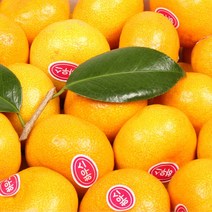 [대진작목반] 제주 비가림 감귤 5kg 9kg, 5kg(3S 소과)