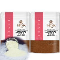 인차 수입 유청분말 유청단백질 유청 가루 분말 프로틴 단백질 파우더, 2팩, 단품없음