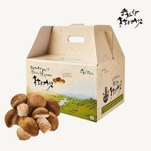 순천향 송화버섯 맛있는 국산 생 송화버섯 산지직송, 1box, 순천향 송화버섯 선물세트: 실속형 1kg