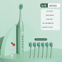 선물 가정용 진동 소프트 털 칫솔 충치기 충전 자동 초음파식 성인 전동칫솔 발렌타인 선물, S6녹색충전모델[6브러시헤드+Usb충전케이블], 하나