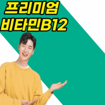 프리미엄 수용성 비타민b 비타민 b12 남자 여자 여성 남성 비건 고시생 어린이 성인 노인 노년 부모님 선물 코발라민 비 B 하루 데일리 영양제 타블렛 알약 형 정 사은품 증정, 90정, 12개월 분