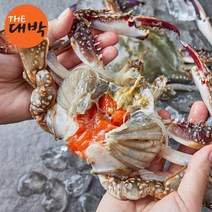 냉동 암꽃게 1kg 제철 꽃게 알배기 봄꽃게, 1box, 암꽃게(급냉) 3kg