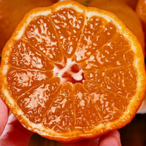 [민생안전] 초특가 가성비 제주 못난이 카라향, 1박