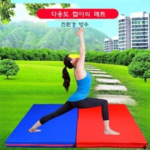 라비로스 체육관매트 요가매트 놀이방매트 스포츠매트 착지매트(비싼 2단은 가죽재질), 그린