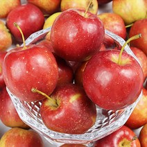 영천 햇 미니사과 한입 알프스오토메 산지직송, 1box, 미니사과2kg 특 30-39g