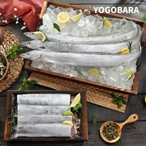 여수 어부수산 자연산 먹갈치 국내산 손질갈치 10마리 16마리, 10마리(20토막)