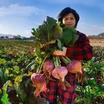 강화도 연미농장(최상품) 특별2 (1.순무차 서비스 +2.순무청 별도 서비스) 5kg 10kg 20kg, 1box, 강화 꿀순무20kg