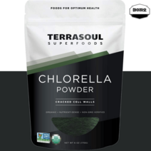 테라소울 클로렐라 분말 가루 크로렐라 엽록소 170g, 테라소울 클로렐라 분말 170g