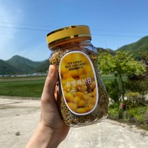 산농 2021년 햇 벌화분 장성 국내산 꿀벌화분500g(비폴렌 꽃가루화분 먹는화분), 500g, 1개