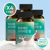 오늘의밸런스 락토페린 3000mg 고함량 초유 유산균 60정 8개월분, 60정 X 4개 8개월분