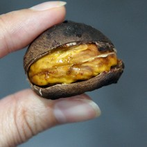 햇밤 칼집밤 삼조생밤 1kg(중) 칼집있음 군밤용, 1개