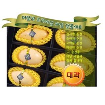 [더달 프리미엄 선물세트] 항공직송 로얄태국골드망고 선물세트 대과 6입 2kg 내외