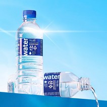 에브리데이 산수 에브리데이 산수 생수 2L 6병 외 500ml 330ml 1.0L, 에브리데이 산수 무라벨  1.0L 12병