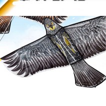 독수리 모양 연 이글 무늬 그림 하늘 날리기 놀이 토이 들판 광장 공원 가족 장난감 잔낭감