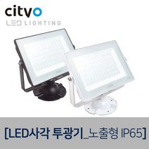 씨티오 LED노출사각투광기 LED조명, 투광기파이프I형_백색70cm