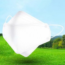 참조은 황사방역 에스 KF94 마스크 대형 100매 5EA*20, 화이트
