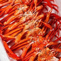 [선주직송] 포항 구룡포 제철 연지 홍게 수율보장 자숙 홍게, 고급형 수율 80%내외3kg(10-12미), 1개