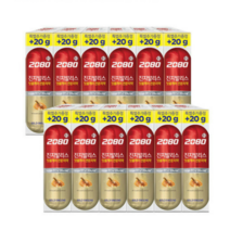 2080 진지발리스 골드진생 치약, 12개, 140g