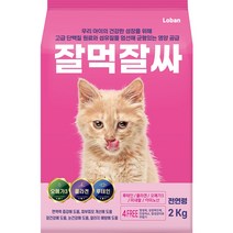 비아파 락톨 키튼 고양이 영양제, 영양보충, 1개