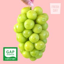 [GAP인증] 안성 고당도 샤인머스켓 망고포도 정품 4kg, 상세페이지 참조, 상세페이지 참조