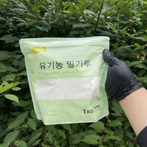 뜨레봄 유기농 박력 밀가루 1kg, 1개