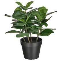 이케아 IKEA 인조식물 실내외겸용 클루시아 32cm, 1개
