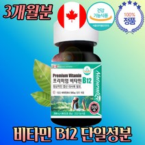 캐나다 비타민 B12 건강 기능 음식 고함량 90일분 알 작은 단일성분 목넘김 쉬운 타블렛 효능 엽산 대사 동물성 채식주의 하루 권장량
