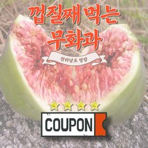 산지직송 꿀가득 전남 영암 무화과 500g 1kg 2kg