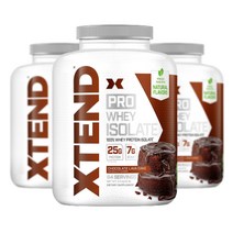 엑스텐드 프로 웨이 아이솔레이트 초콜릿 2.3kg 단백질 보충제 프로틴 WPI, 프로웨이 2.3kg (초코)