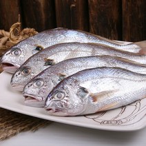 [산지직송] 완도 국내산 반건조 백조기 3-4마리 700g내외