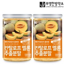 부영한방약초 칸탈로프 멜론 추출분말 가루 300g, 2개