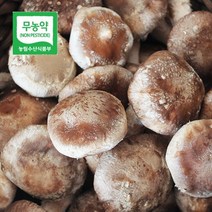 두메골농원 영양 무농약 버섯 착한 송이 500g 가정용, 단품