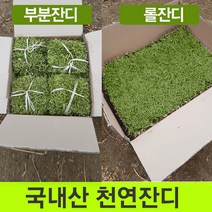 잔디뗏장25장 판매순위 상위인 상품 중 리뷰 좋은 제품 추천