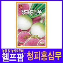 헬프팜 청피홍심무 600립 무씨 씨앗 종자 KS종묘