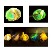 과학실험키트-원소불꽃반응(6인용)